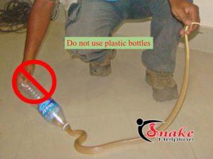Snake image plastic